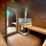 chalet avec sauna privatif à Gérardmer