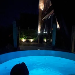 Person with their back to the camera in a private blue-lit hot tub in front of an A-frame chalet at night in the Vosges.
