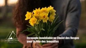 Bouquet de jonquilles jaunes tenu en main lors d'une escapade printanière dans les Vosges